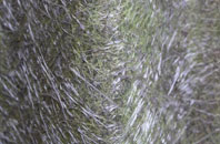 West Bank fibreglass roof work